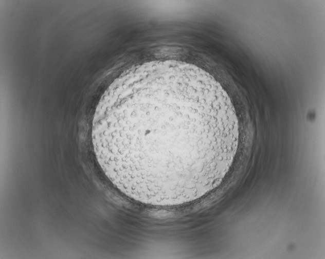 X0000116890755201002021209