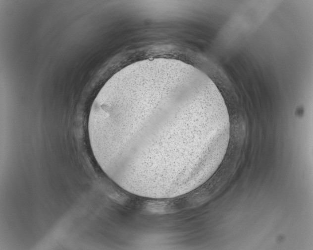 X0000116890757201002021209