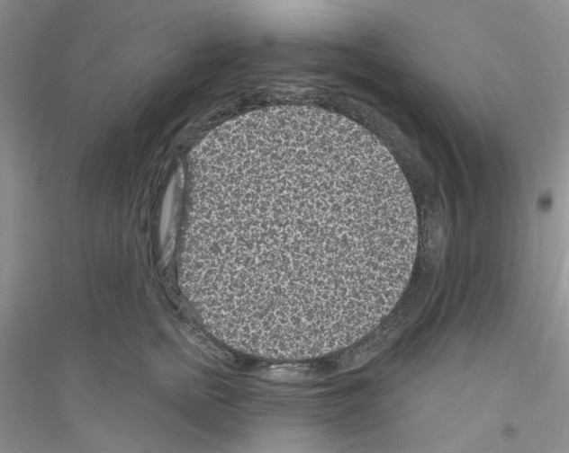 X0000116890758201002021209