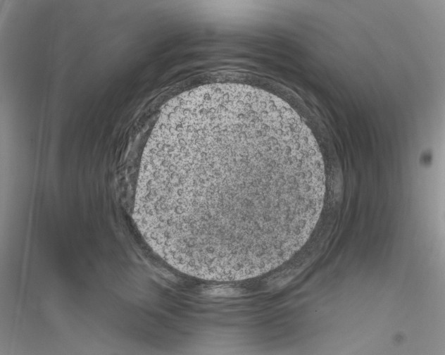 X0000116890759201002021209