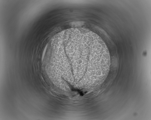 X0000116890761201002021209