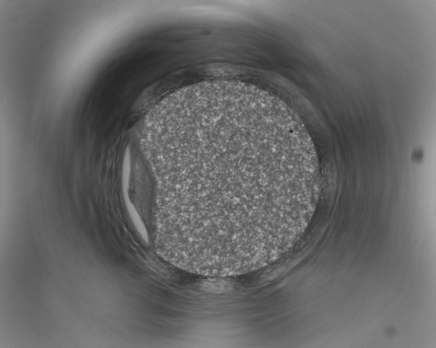 X0000116890762201002021209