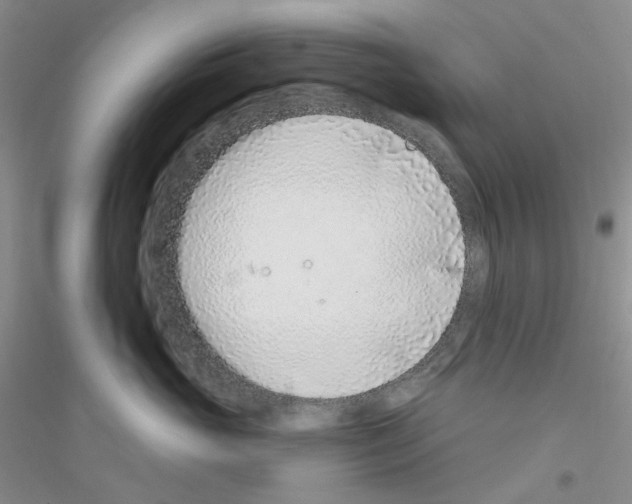 X0000116890765201002021209