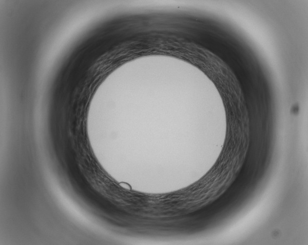 X0000116890766201002021209