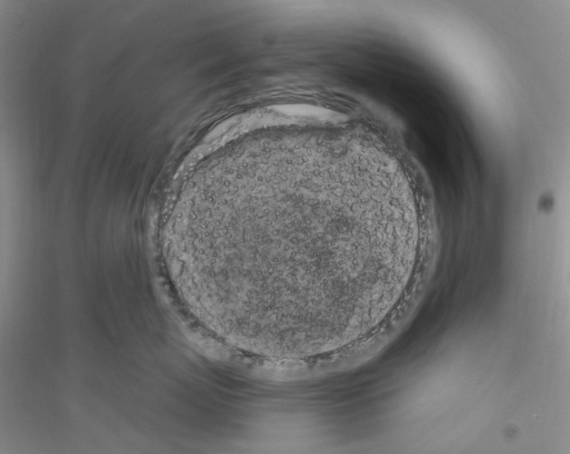 X0000116890767201002021209