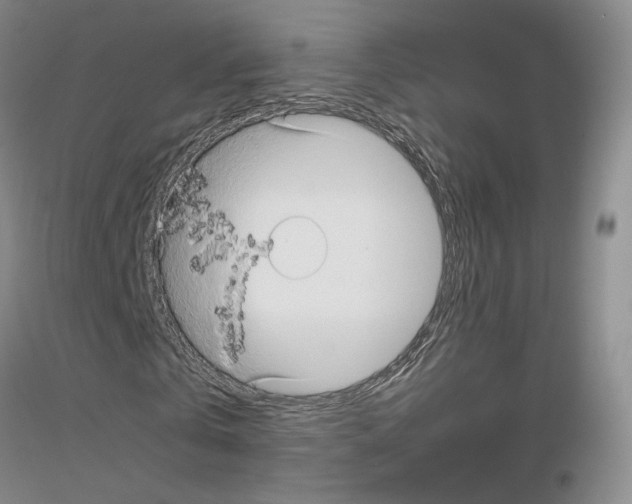 X0000116890769201002021208