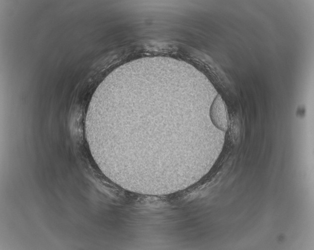 X0000116890770201002021208