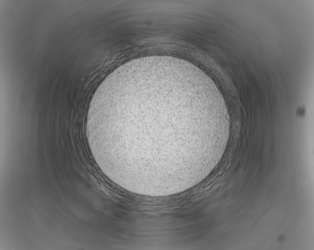 X0000116890772201002021208