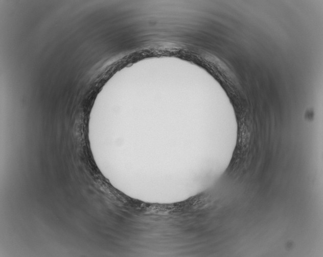 X0000116890773201002021208