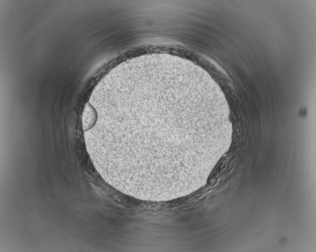 X0000116890775201002021208