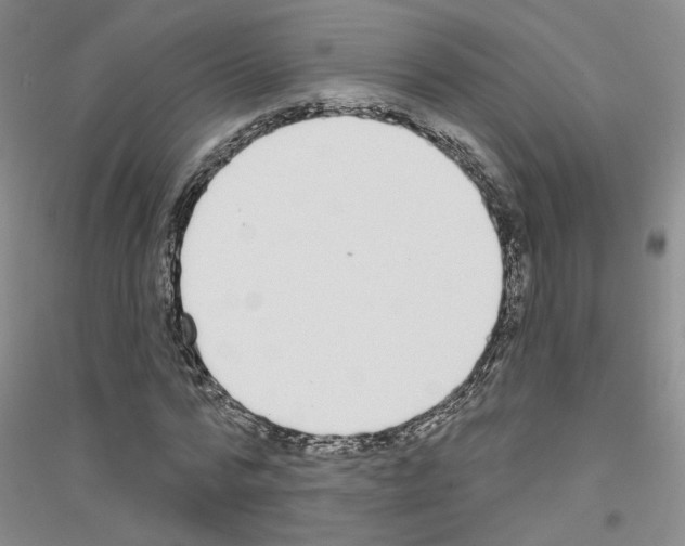 X0000116890776201002021208