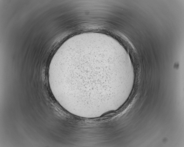 X0000116890777201002021208