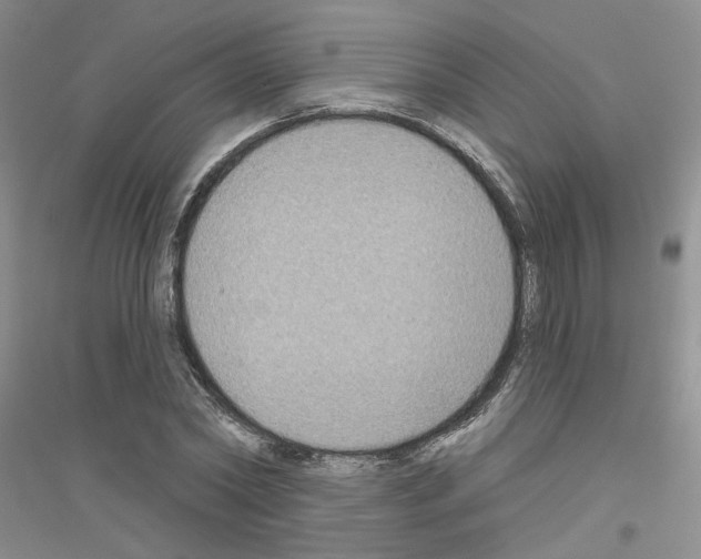 X0000116890782201002021208