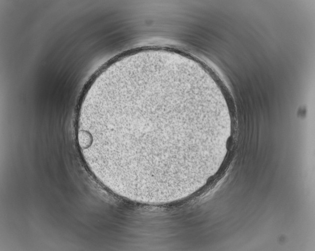 X0000116890783201002021208