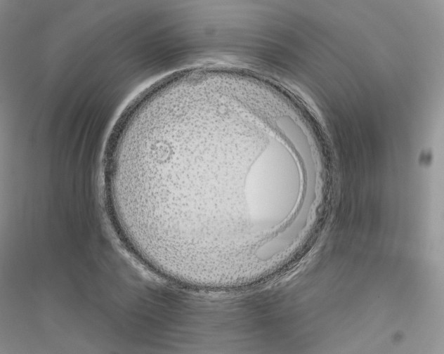 X0000116890784201002021208