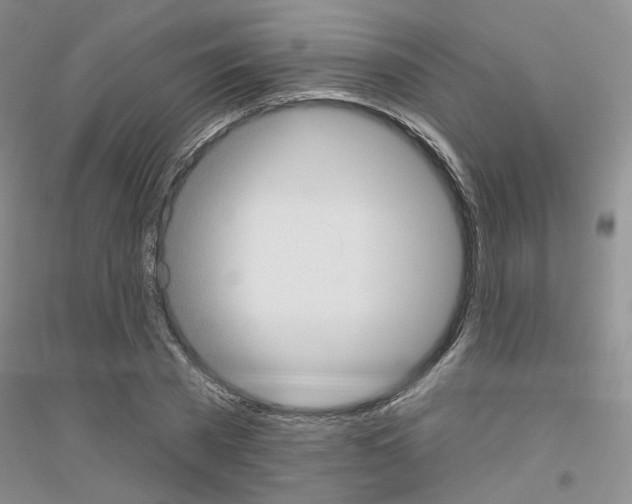 X0000116890785201002021208