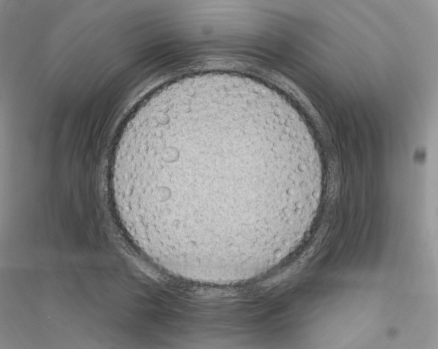 X0000116890786201002021208