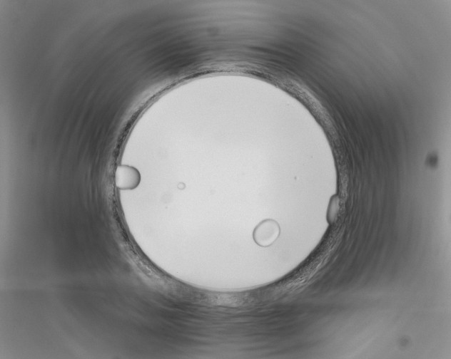 X0000116890787201002021208