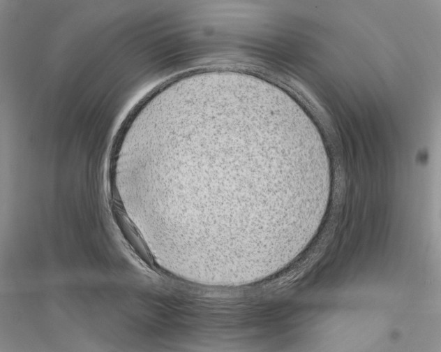 X0000116890788201002021208