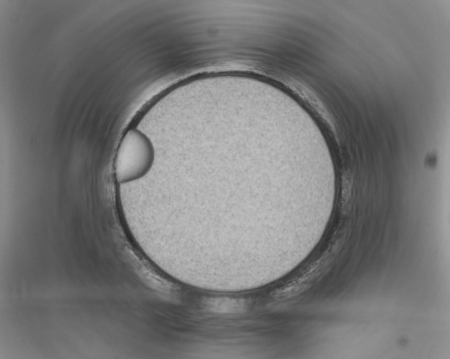 X0000116890789201002021208