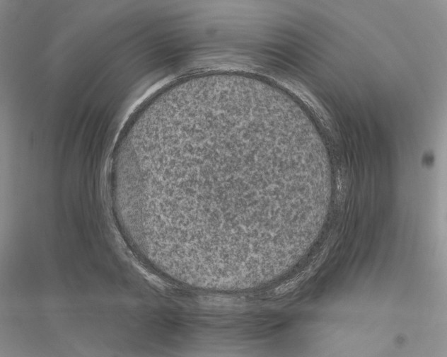 X0000116890790201002021208