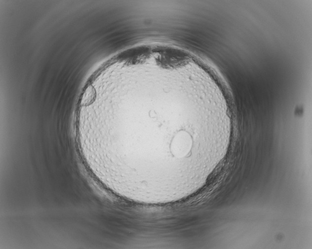 X0000116890791201002021208