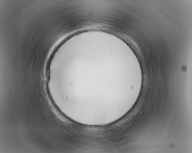 X0000116890792201002021208