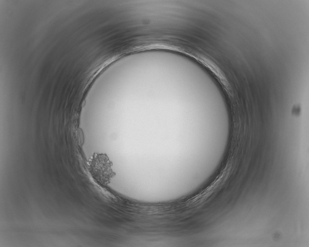 X0000116890793201002021208