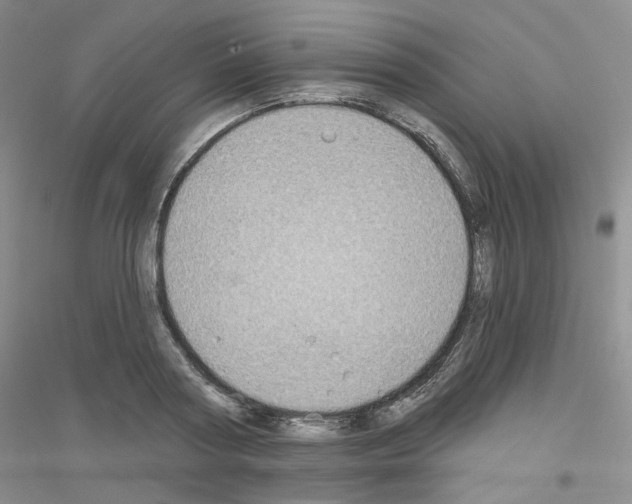 X0000116890794201002021208