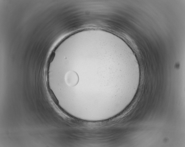 X0000116890796201002021208