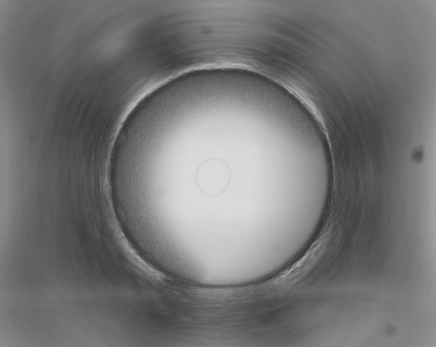 X0000116890797201002021208