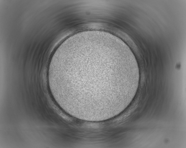 X0000116890798201002021208