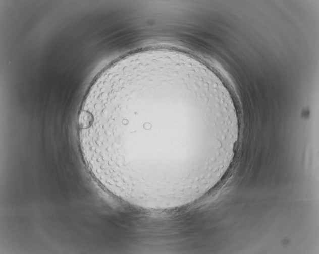 X0000116890799201002021208