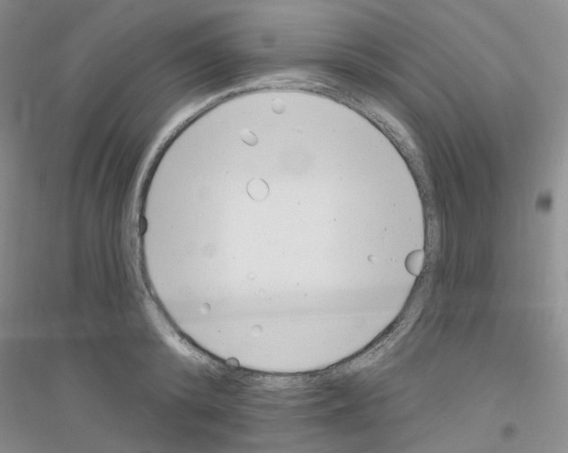 X0000116890800201002021208