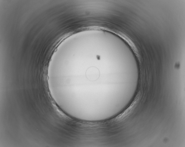 X0000116890801201002021208