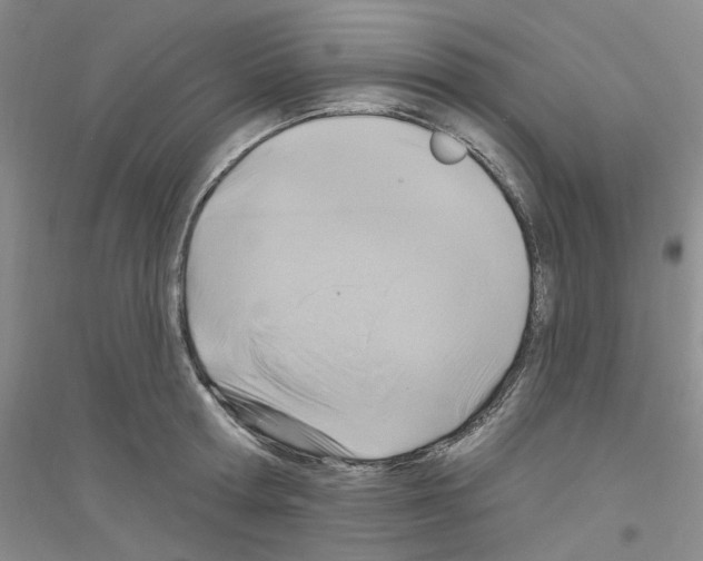 X0000116890802201002021208