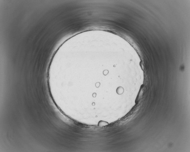 X0000116890803201002021208