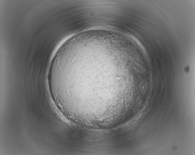 X0000116890804201002021208