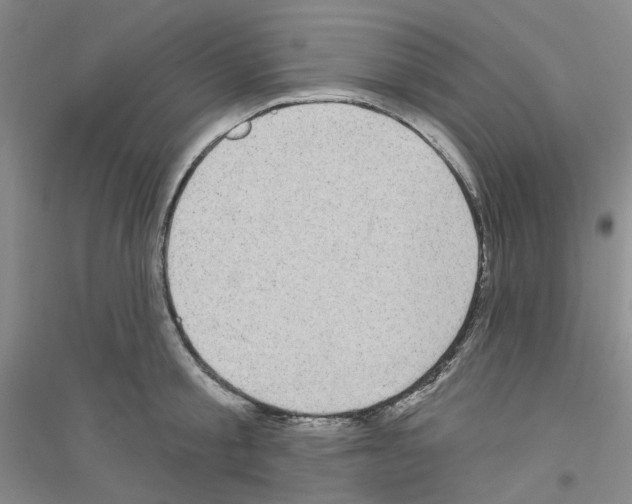 X0000116890805201002021208