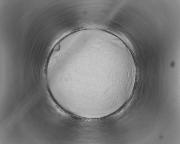 X0000116890806201002021208