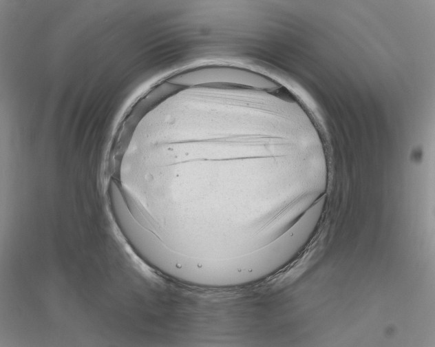 X0000116890807201002021208