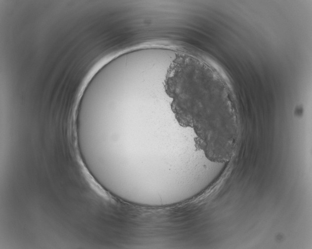 X0000116890808201002021208