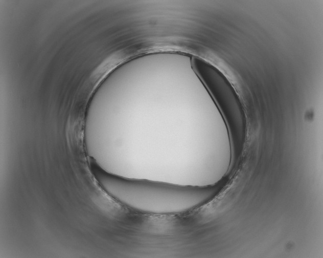 X0000116890809201002021208