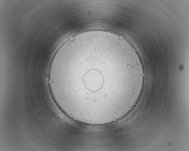 X0000116890810201002021208