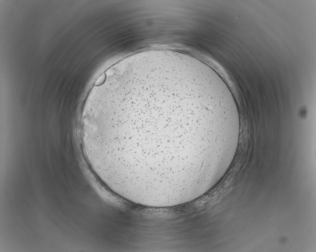 X0000116890811201002021208