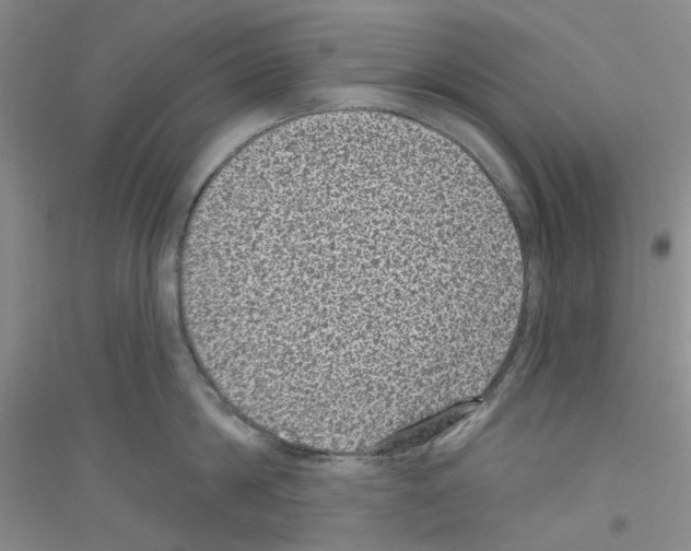 X0000116890814201002021208