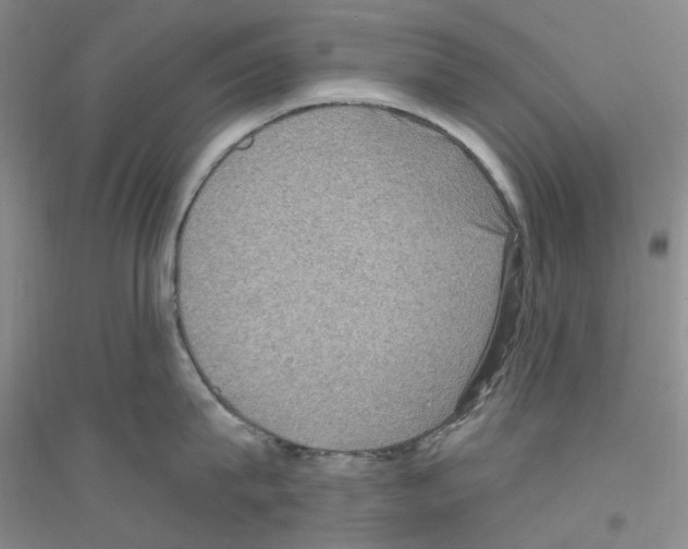 X0000116890815201002021208