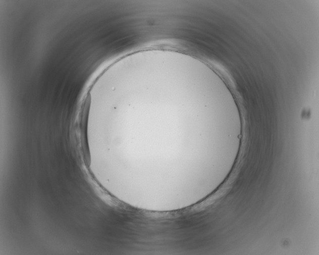 X0000116890816201002021208