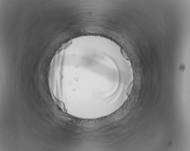 X0000116890817201002021207