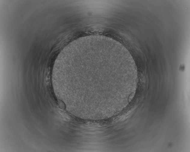 X0000116890818201002021207